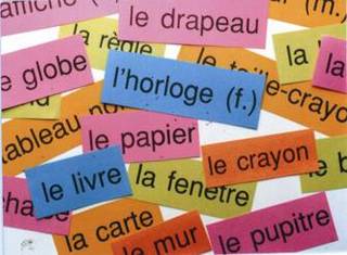 Why I Won't Let My Children Learn French