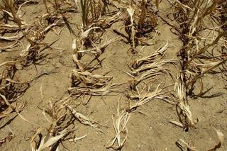 The World Is Heading for a Catastrophe