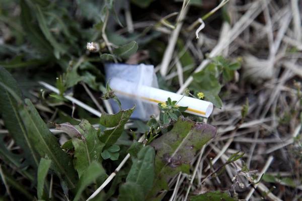 U.S., Iran Share a Common Enemy: Heroin