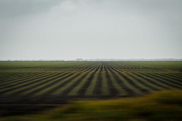 Food Prices Are Going to Topple More Governments