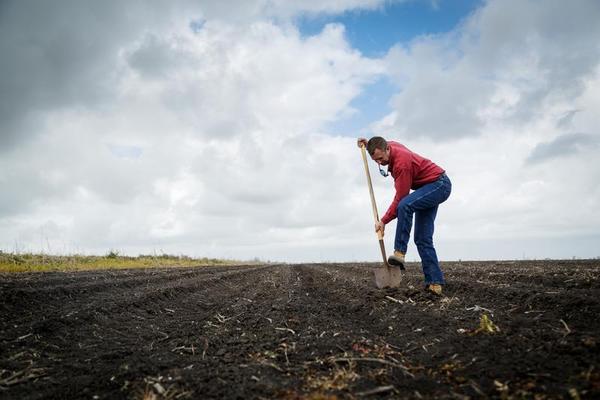 Why Some See Big Potential in Tiny Farms