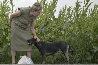 Donetsk Republic's Grannie Shock Troops