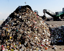 Who Is Stealing Tehran's Garbage Cans?