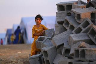 Does This Mean bin Laden Won?