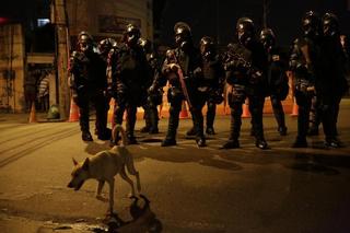 Defend Argentina from the Vultures