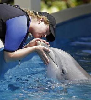 Ukraine Wants Their Militarized Dolphins Back