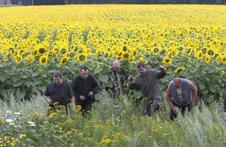 MH17: Wars Have Bloomed from Far, Far Less