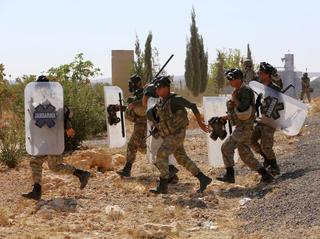 Pakistan's Lessons for Turkey
