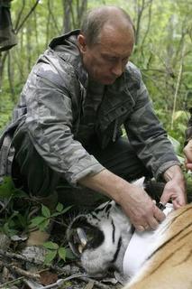 Putin's Tiger Is Lost in China