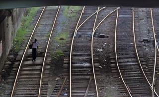 Leviathan's Revenge: Failure of Privatization