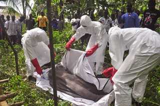 The WHO's Misleading Ebola Numbers
