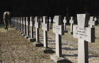 Visualizing WWI's Human Toll