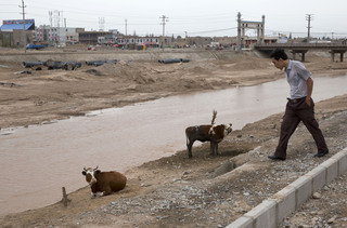 China's Prescription for Troubled Xinjiang