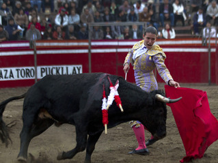 Is Spanish Bullfighting on Its Way Out?