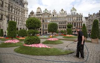 Brussels Is the Poster Child for Inequality