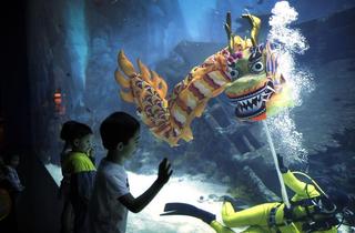 Singapore & The Asian Century