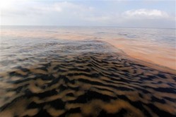 Napolitano: Gulf Spill Could Be 'unprecedented'