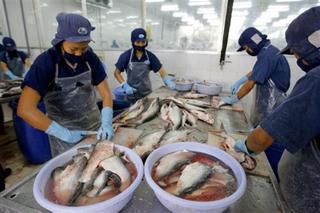 Of Catfish Wars and Shooting Wars