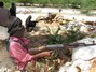 AU Troops in Mogadishu Struggle