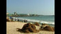 One Year On in Sri Lanka