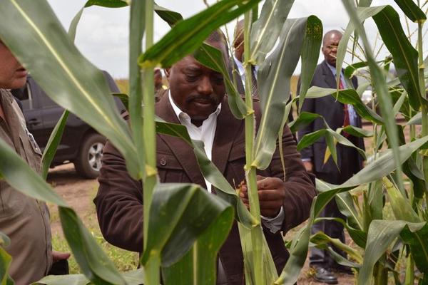 Congo Breaks Up Its Provinces: To What End?