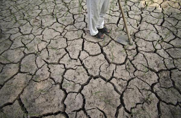 Sweating Out India's Deadly Drought