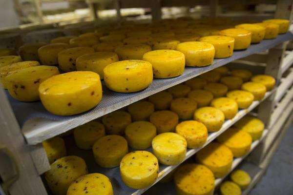 Putin Destroys Tons of Food. What's Next?