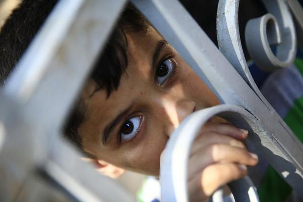 Arab Countries Forcing Palestinian Exiles Back Into Syria