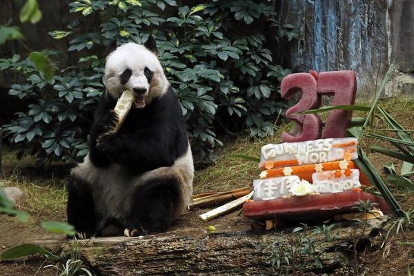 Don't Celebrate Your Birthday in Tajikistan