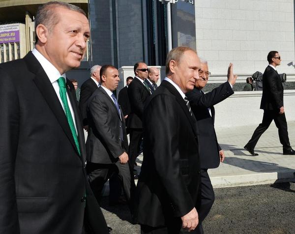 Rise and Fall of Erdogan's Turkey