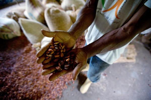 Was your Candy Bar Made by Child Slaves?