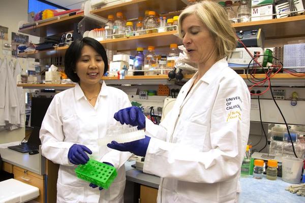 Kill Seven Diseases and Save 1.2M Lives Annually