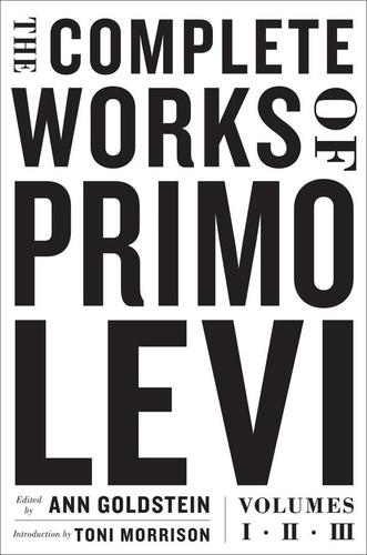 The Mystery of Primo Levi