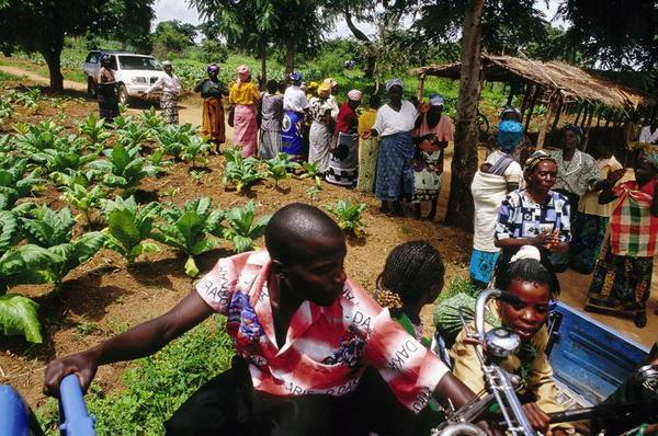 The Myth of the African Land Grab