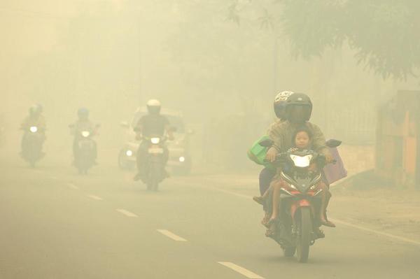 Explaining Indonesia's Fire Crisis