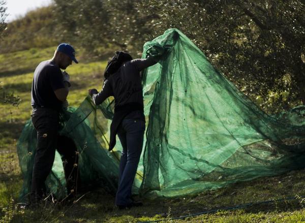 Let Refugees Settle Italy's Empty Spaces