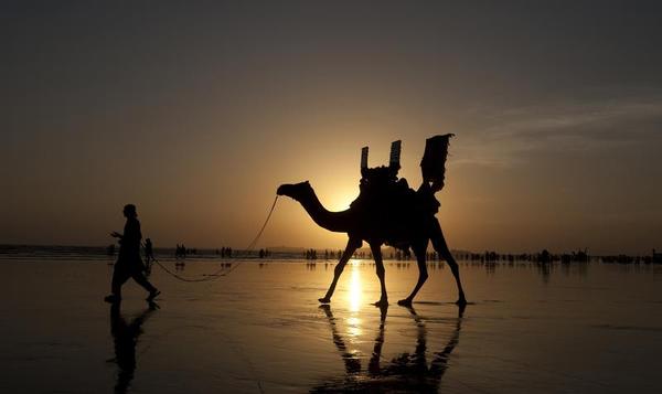 Cabs, Camels, or ISIS