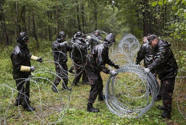 Europe's Welcome Sign to Terrorists