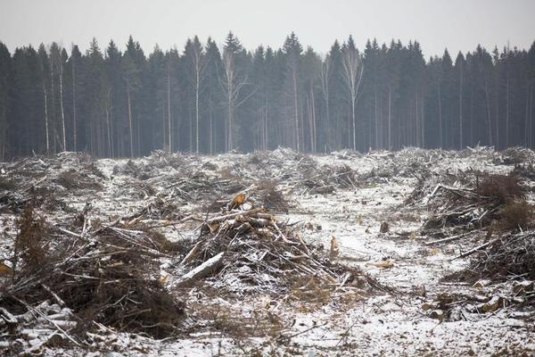 Your Complete Guide to the Climate Debate