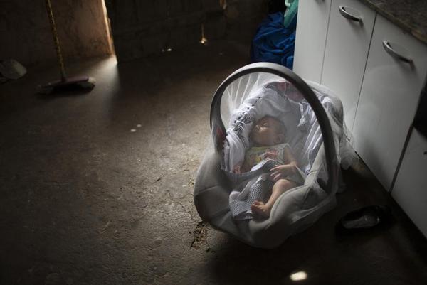 Brazil Faces a Modern-Day Plague