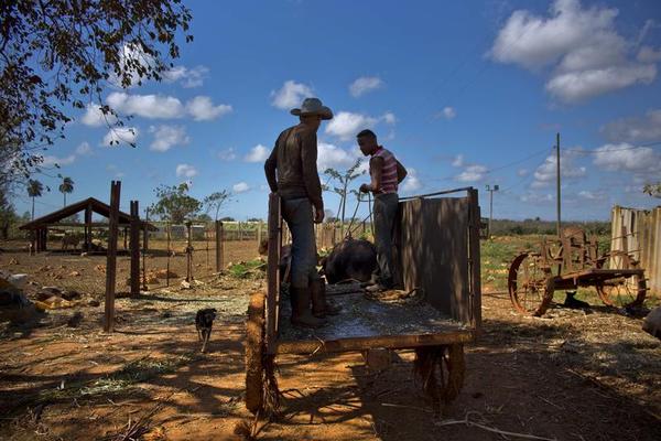 What Cuba Can Teach Us About Food & Climate Change