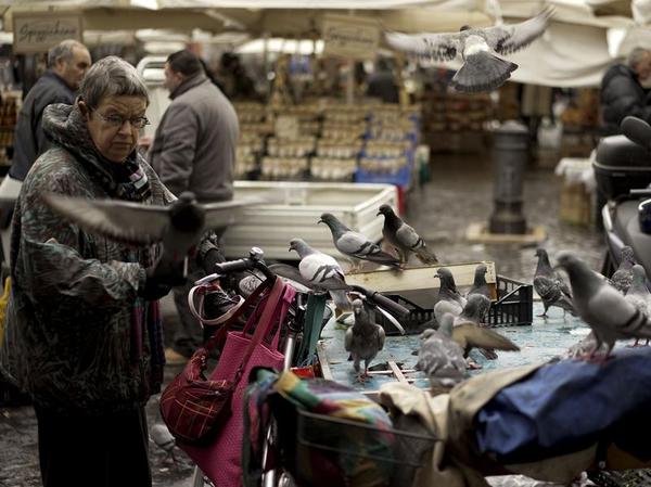 Rome Is Knee-Deep in Bird Poop