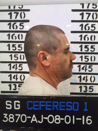 Mexico's Drug War Holds Lessons for Mideast