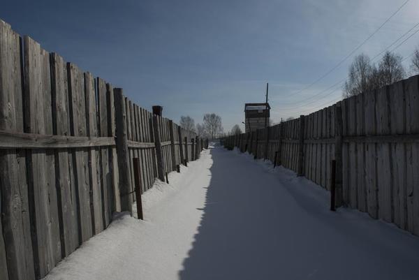 Alcohol in the Gulags