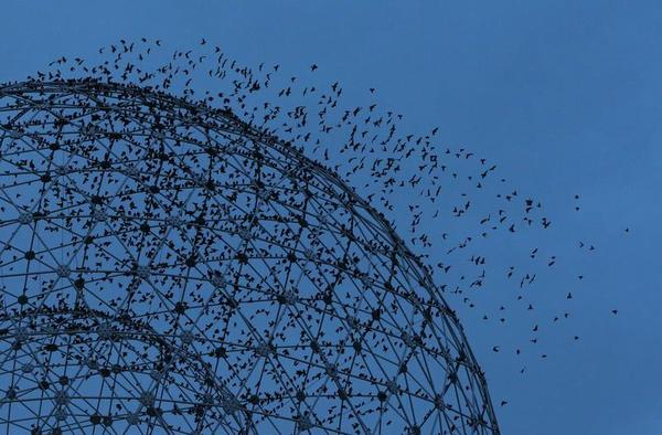 Vibrant Belfast Has Come of Age