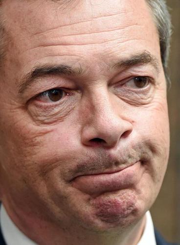 What Comes After UKIP?