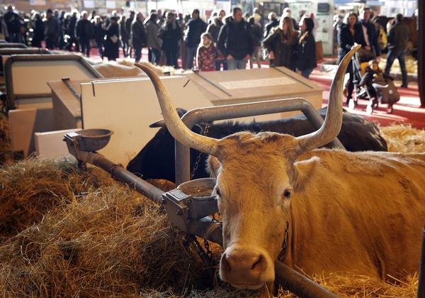 Welcome to France's Food-and-Booze Fest