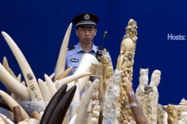 The Chinese Tusk Wars