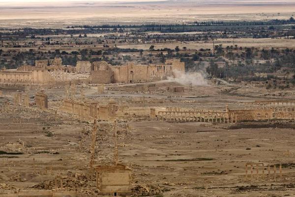 The Battle for Palmyra: Surveying the Cost