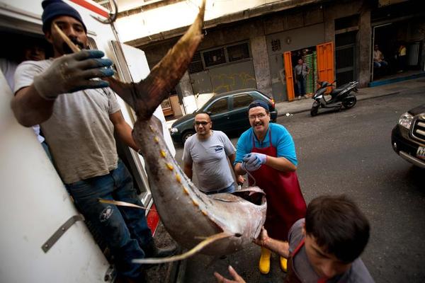 How Socialism Destroyed Venezuela